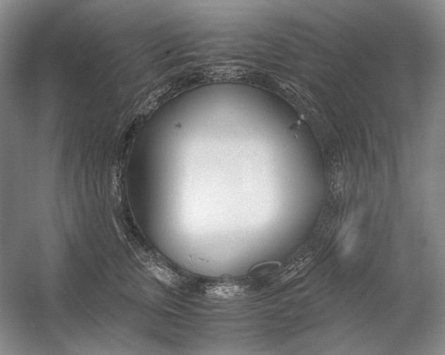 X0000054390759200508191938