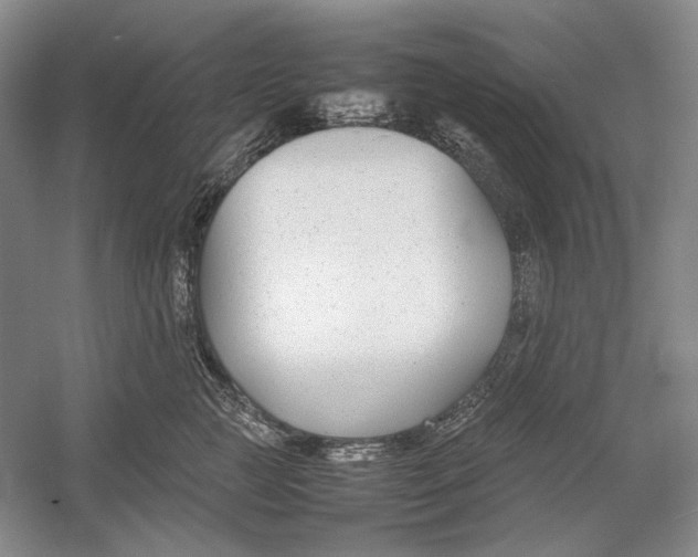X0000054390761200508191938