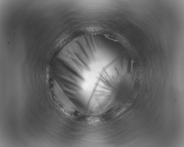 X0000054390762200508191939