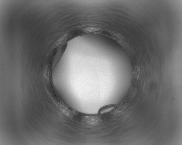 X0000054390763200508191939