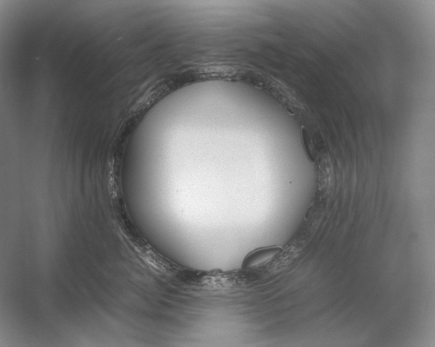 X0000054390764200508191939