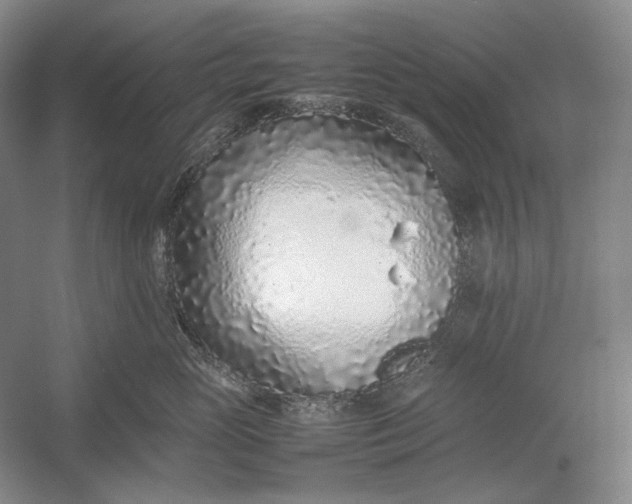 X0000054390765200508191939