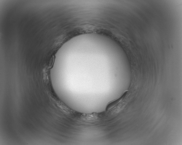 X0000054390768200508191939