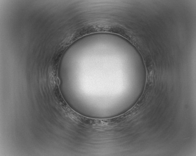 X0000054390772200508191938