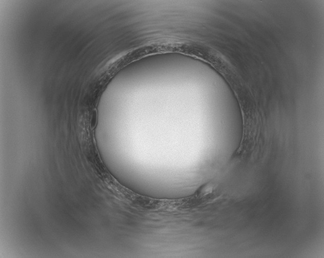 X0000054390773200508191938