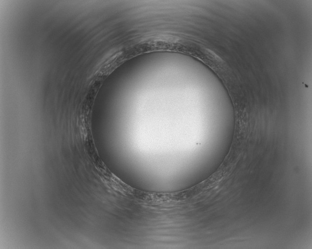 X0000054390774200508191938