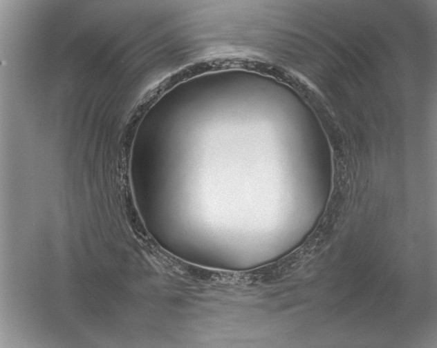 X0000054390775200508191938