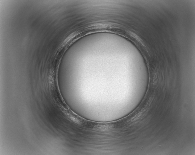 X0000054390778200508191938