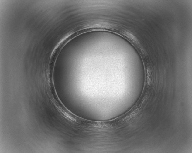 X0000054390780200508191938
