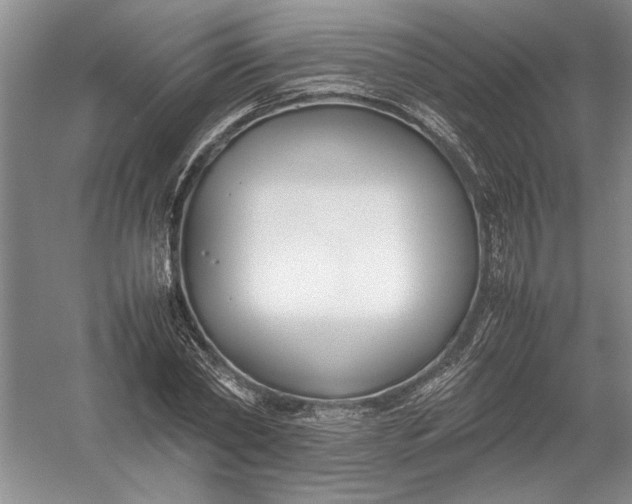 X0000054390782200508191938