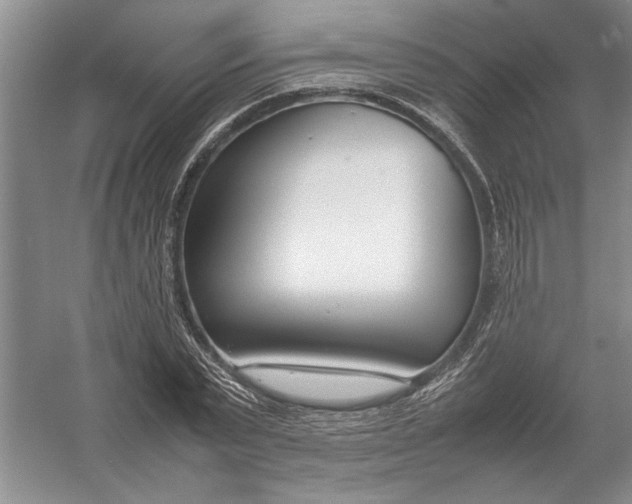 X0000054390783200508191938