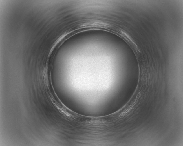 X0000054390788200508191937