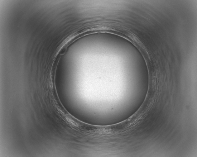 X0000054390789200508191937