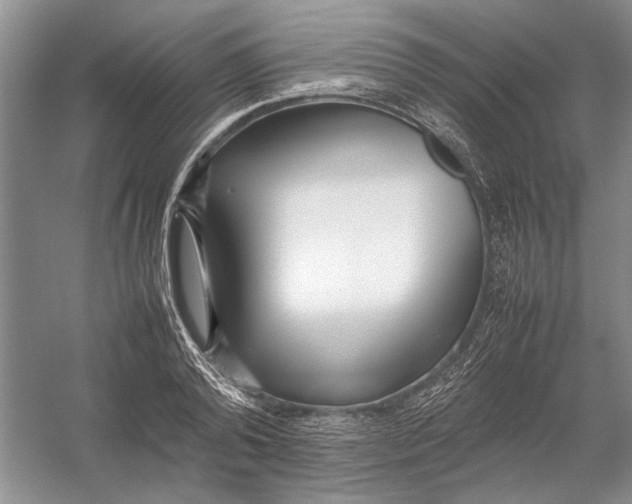X0000054390792200508191937