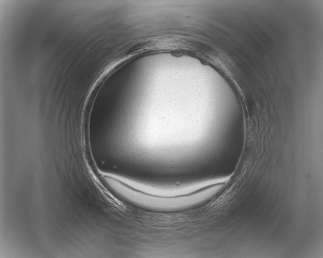 X0000054390795200508191937