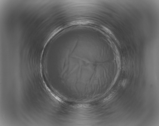 X0000054390802200508191937
