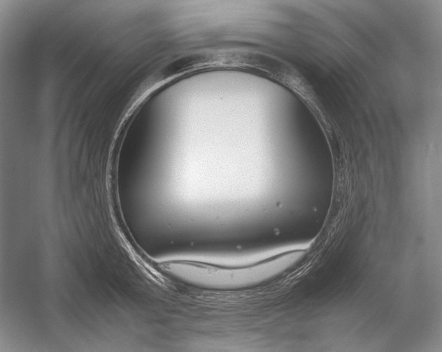 X0000054390803200508191937