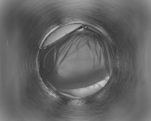 X0000054390806200508191937