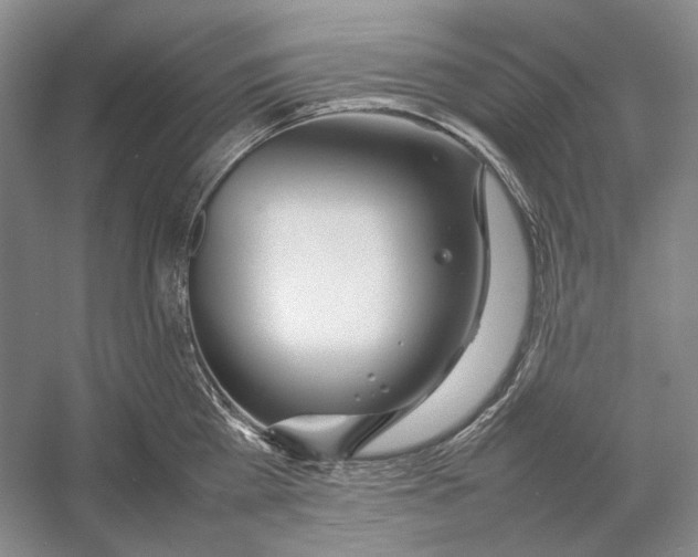 X0000054390809200508191937