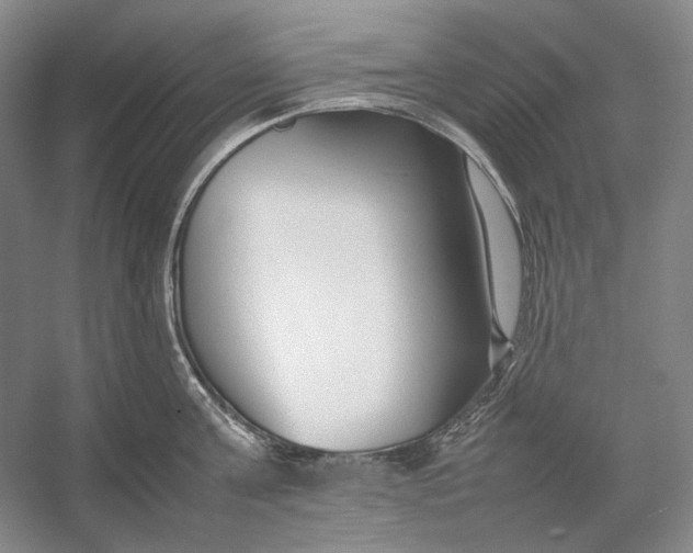 X0000054390811200508191937