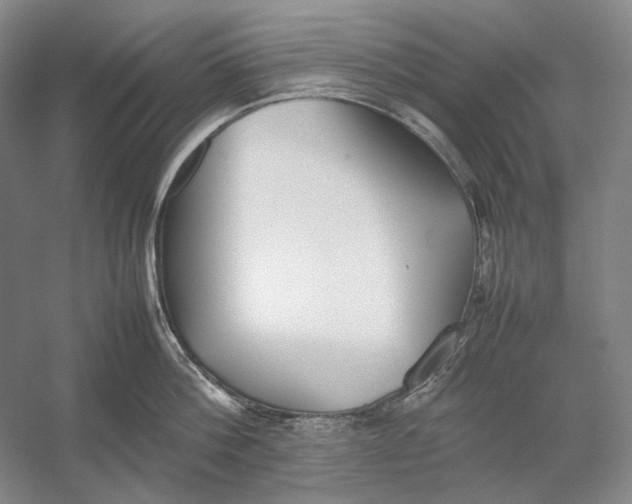 X0000054390812200508191937