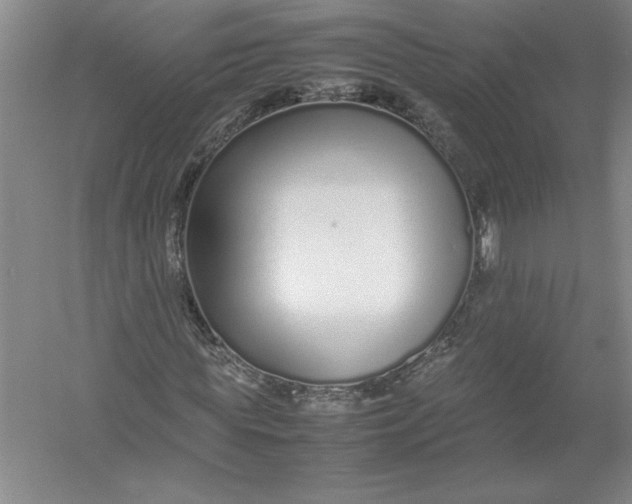X0000054390819200508191936