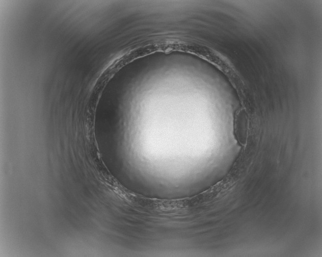 X0000054390823200508191936
