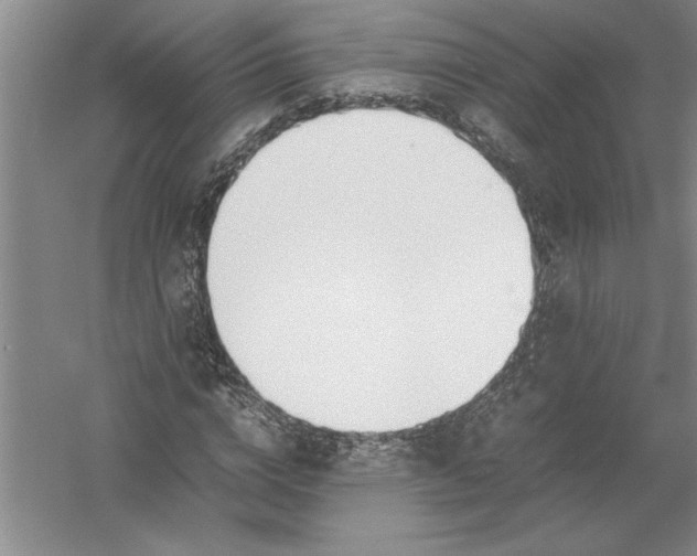 X0000054390824200508191936