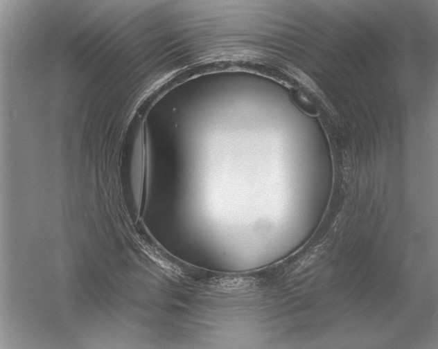 X0000054390826200508191936