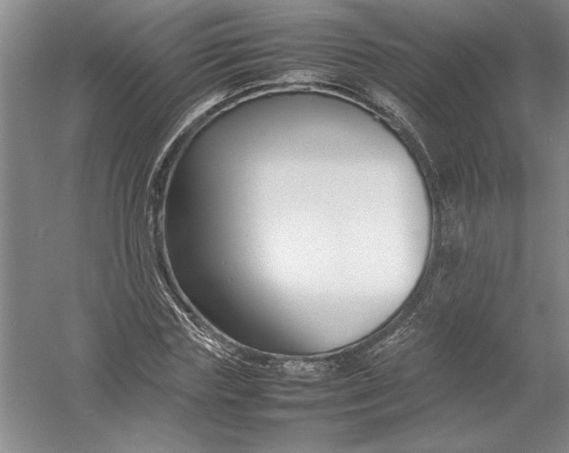 X0000054390827200508191936