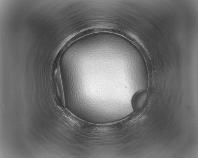 X0000054390829200508191936