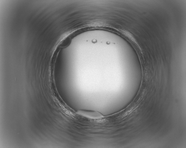 X0000054390831200508191936