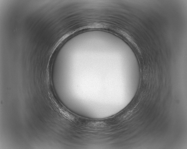 X0000054390837200508191937