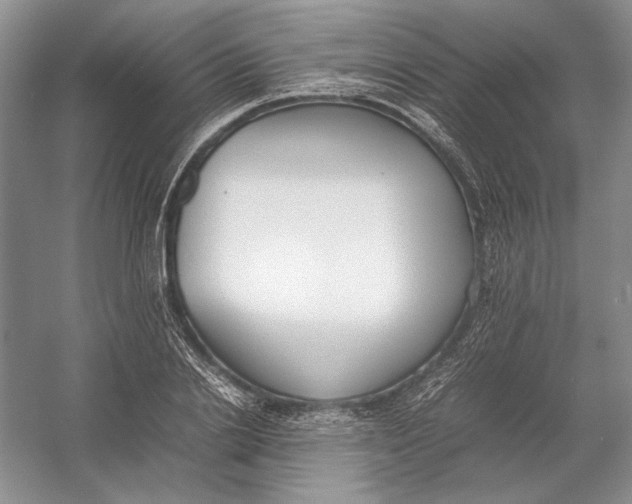 X0000054390838200508191937