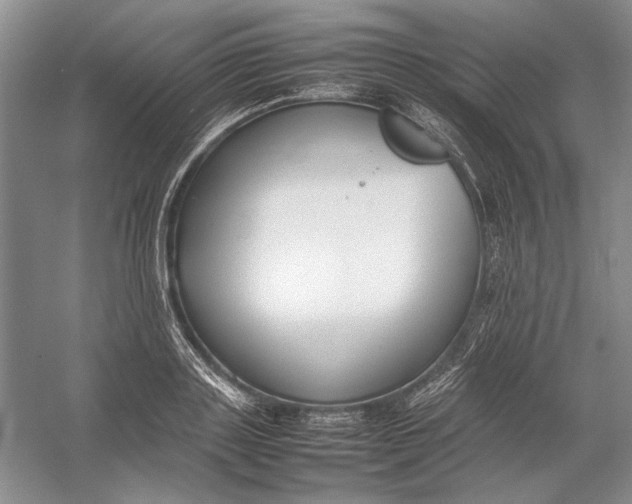 X0000054390843200508191937