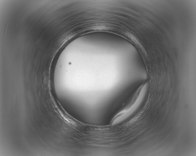 X0000054390845200508191937