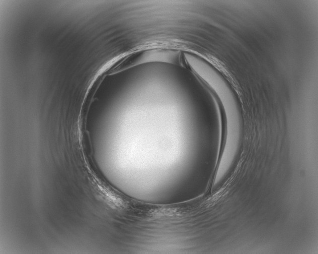 X0000054390846200508191937