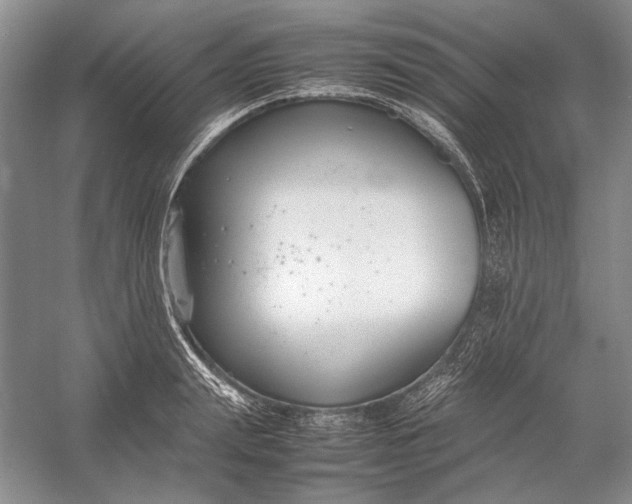 X0000054390847200508191937