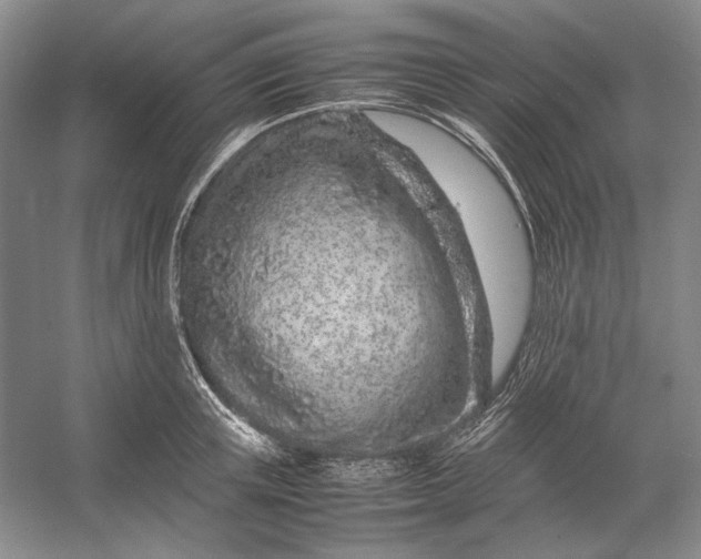 X0000054390851200508191937