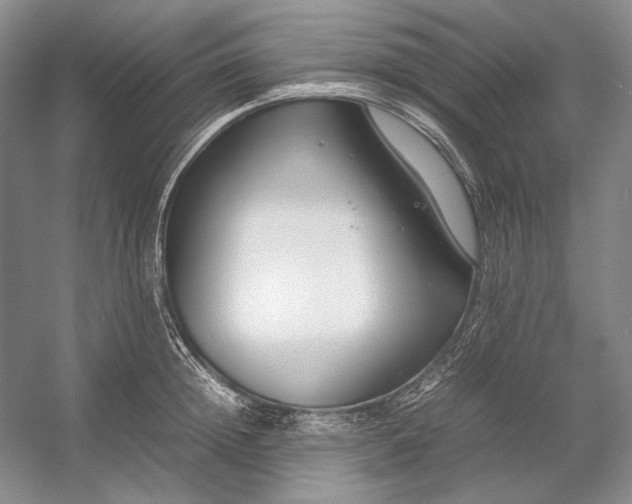 X0000054390852200508191937