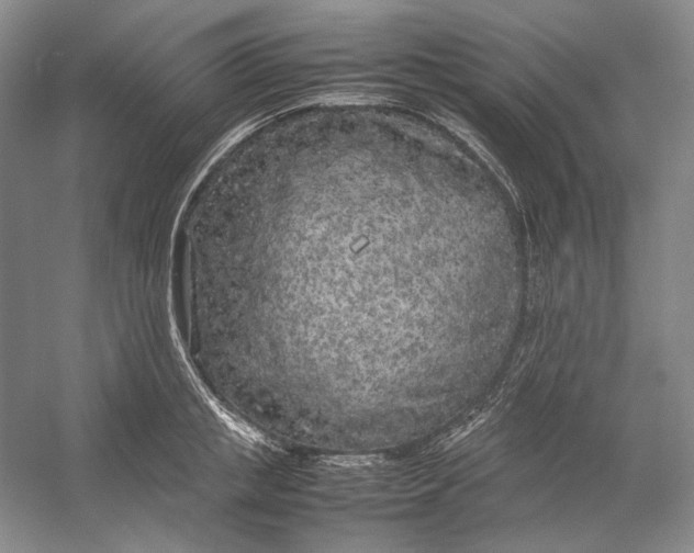 X0000054390853200508191937