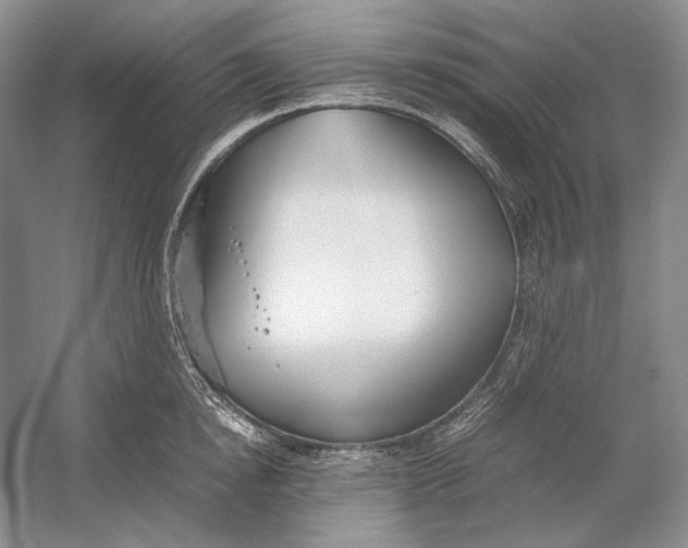 X0000054390854200508191937