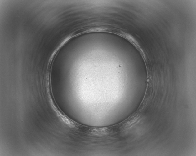 X0000054390859200508191937