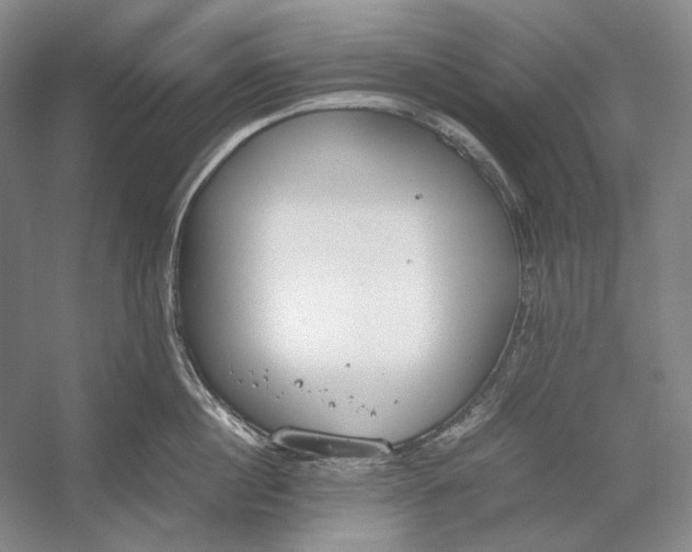 X0000054390860200508191937
