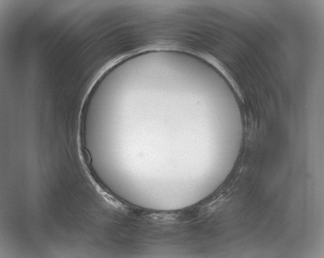 X0000054390861200508191937