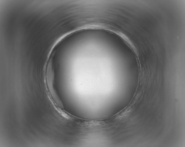 X0000054390862200508191937