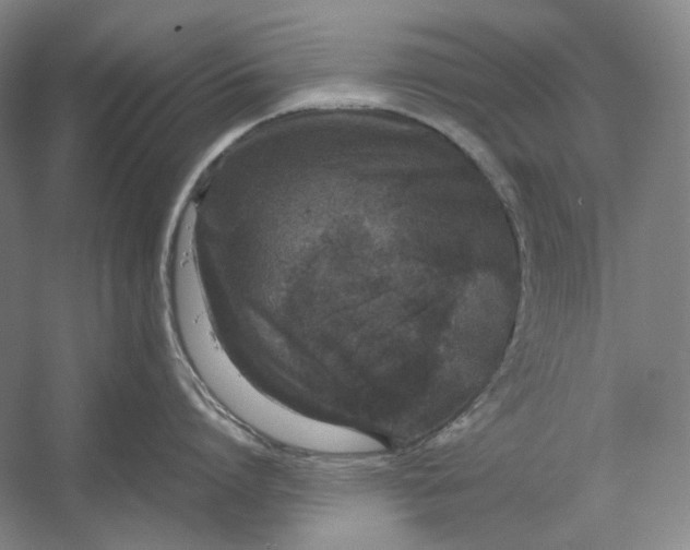X0000054390864200508191937