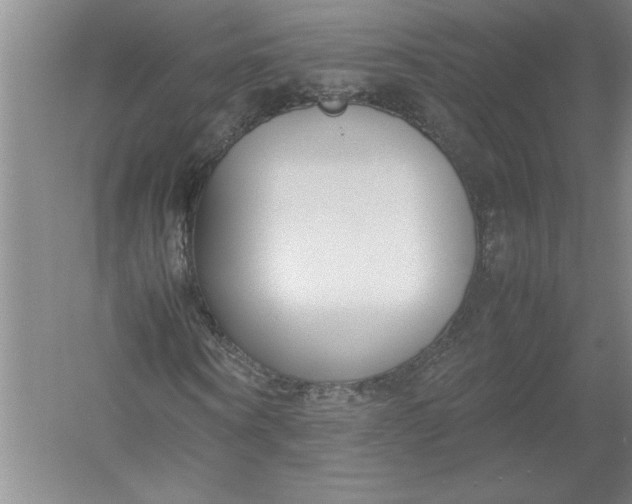X0000054390866200508191936