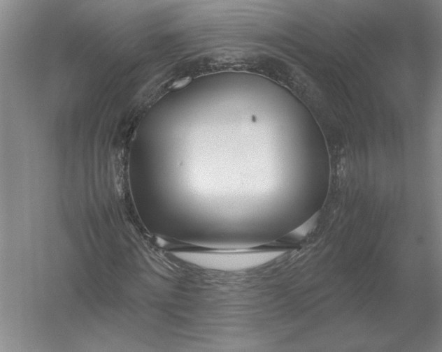 X0000054390868200508191936