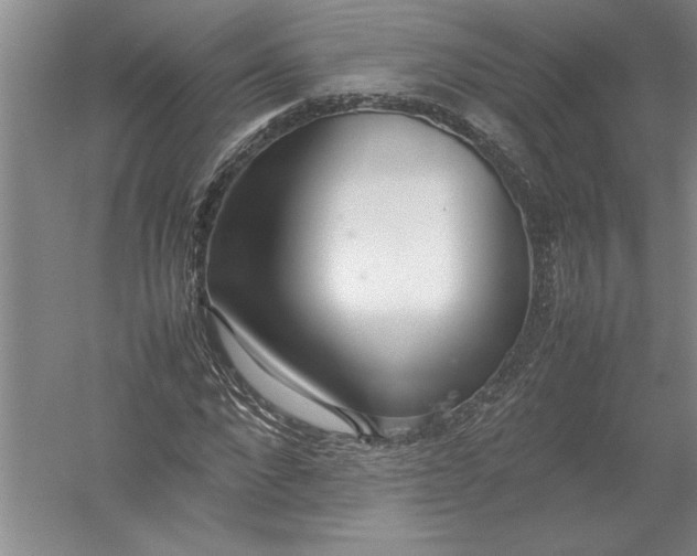 X0000054390872200508191936